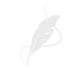 Network Image